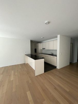 Ihr neues Zuhause im Neumattpark - perfekte Familienwohnung - Photo 1