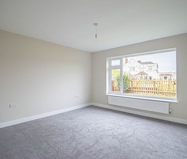 Fully Renovated Detached Three Bedroom Bungalow Available Now - Photo 4