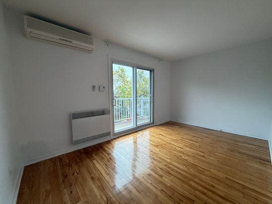 10245 Rue D'Iberville, H2B 2T7, H2B 2T7, Montréal - Photo 1