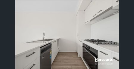 Brand New Home with Park Views - Photo 4