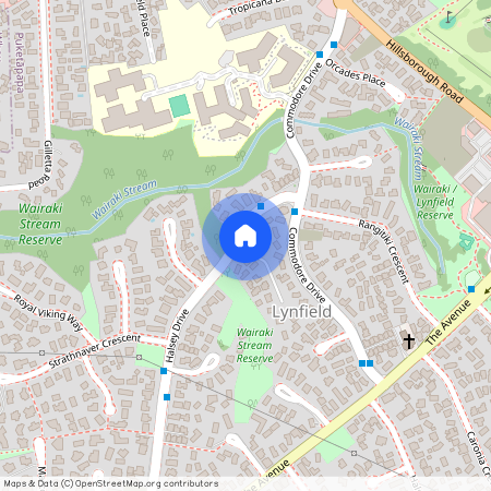 8 Halsey Drive, Lynfield, Auckland City