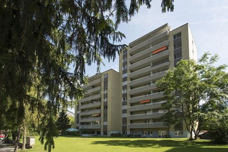 In the evening sun - Photo 4