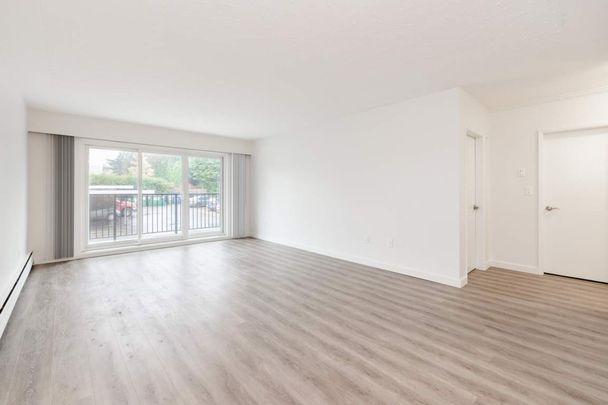 Wedgewood Terrace - Photo 1