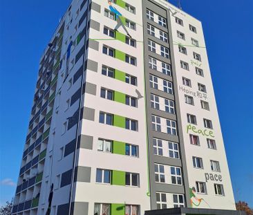 Helle und geräumige 2 Raum Wohnung - Photo 5