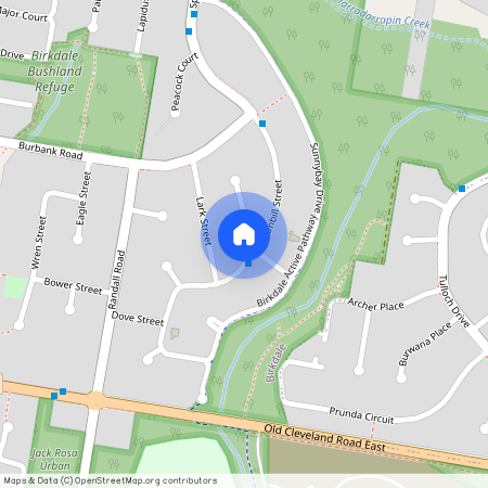 14 Pigeon Court, Qld 4159, Birkdale