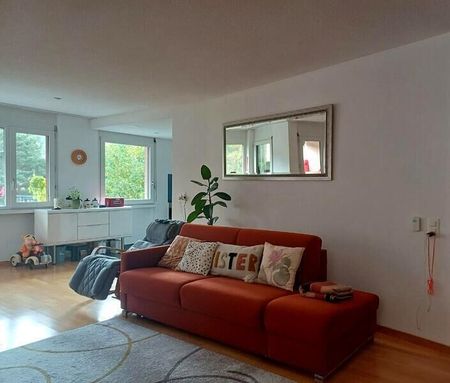 31/2-ROOM APARTMENT IN SCHÖNENWERD (DIM), FURNISHED, TEMPORARY - Foto 2