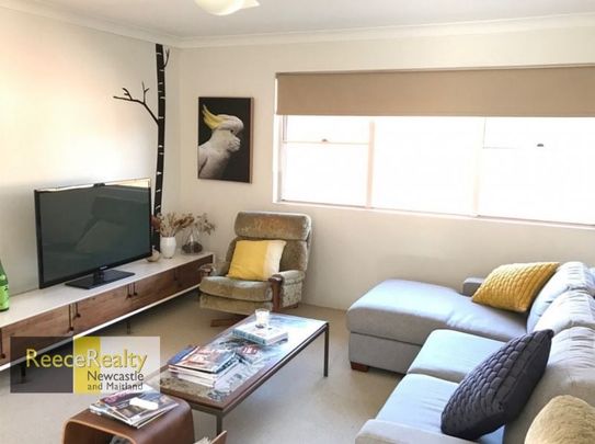 1/2b Farquhar Street, The Junction - Photo 1