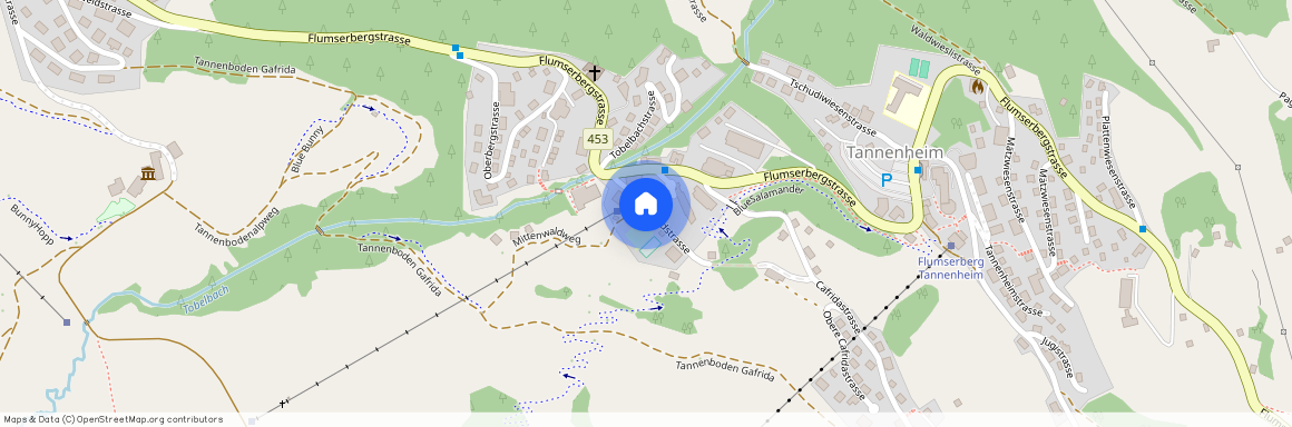 8897, Flumserberg Tannenheim, Mittenwaldstrasse, 4