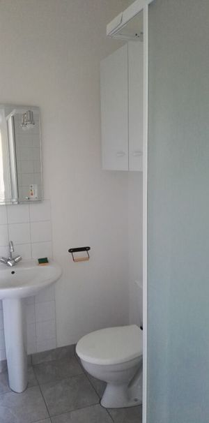 Location Appartement 1 pièce 24m² TOURS 37000 - Photo 2