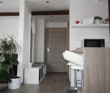 Pronájem podkrovního bytu 1+kk s terasou, 36 m - Photo 4