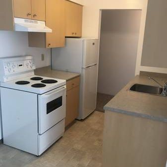 Metrotown | Renovated Bright and Sunny Garden-level 1 Bedroom/1Bath - Photo 1