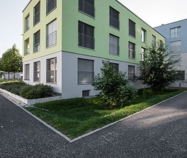 Looking for the unusual? We have it - Photo 5