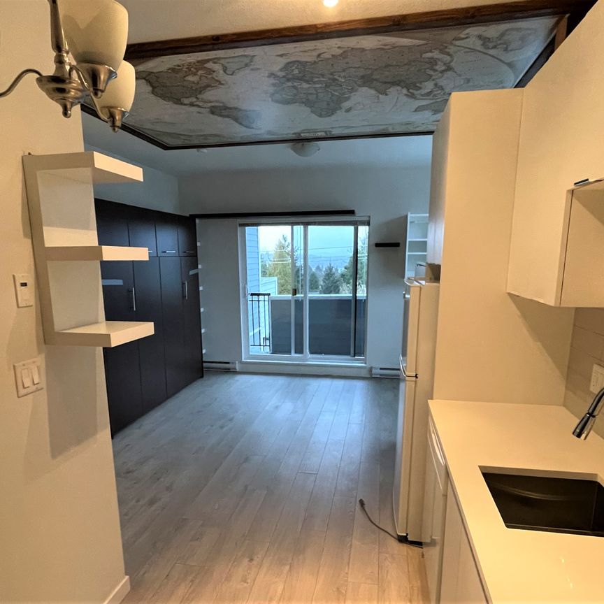 Bachelor Suite For Rent In Surrey/ Pets Allowed. - Photo 1