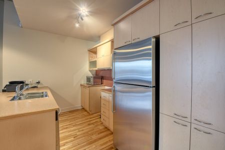 Appartement à louer, Montréal (Ville-Marie) - Photo 5