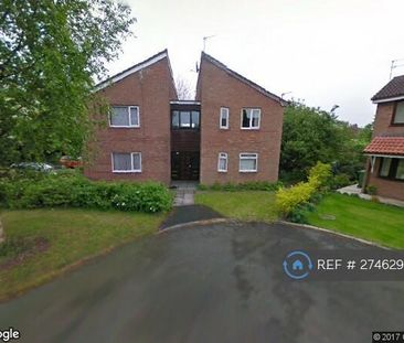 Studio to rent - Photo 6