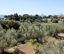 Μεζονέτα για ενοικίαση - Λουτράκι-Περαχώρα, - Photo 5