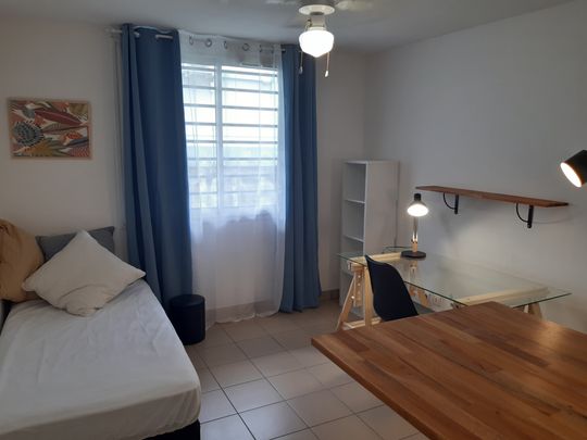 Location Appartement 1 pièce 20m² ST PIERRE 97410 - Photo 1