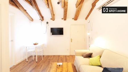 madrid, Community of Madrid 28012 - Photo 3