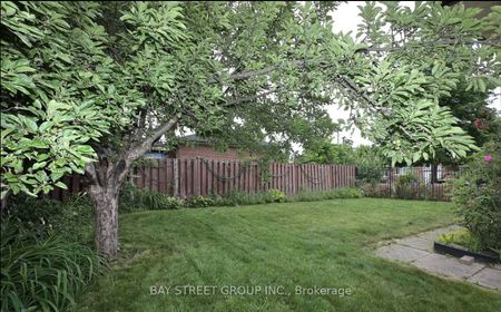 For Lease - 457 Windhurst Gate Unit# Bsmt, Richmond Hill, Ontario - Photo 2