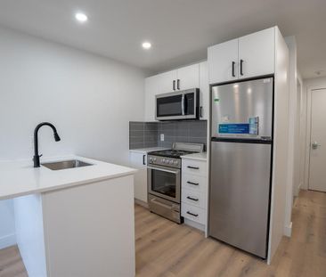 1 Bed 1 Bath - 3915 Rue Masson, Montréal - Photo 2