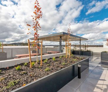 12 Pioneer Street, Amaroo ACT 2914 - Apartment For Rent | Domain - Photo 3