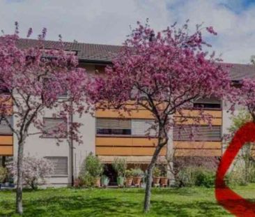 3.5 Zimmer, 90 m², EG - Photo 1