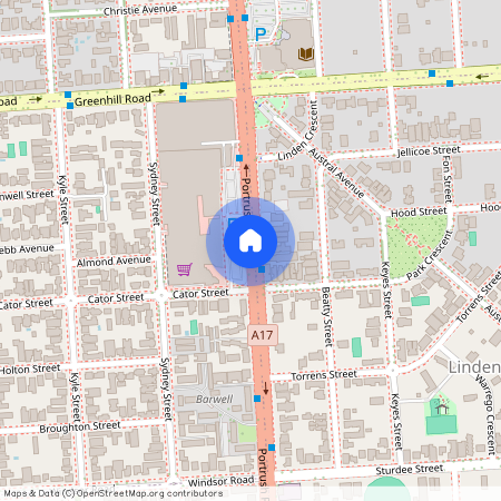 58 Lomandra Av, SA 5065, Glenside