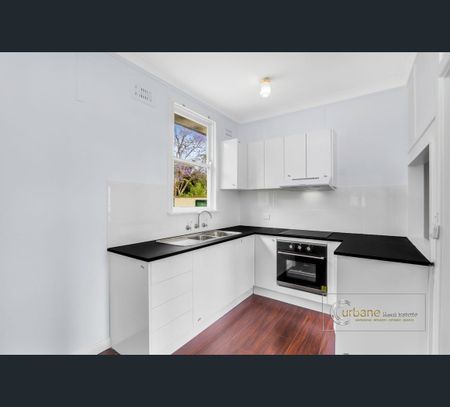 6 Mamie Avenue, Seven Hills, NSW 2147 - Photo 3