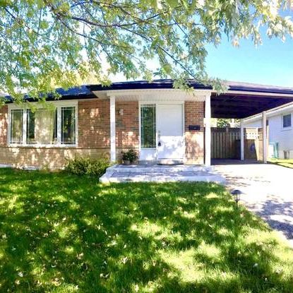 WALK-OUT BASEMENT APARTMENT**2-BEDROOM**NEWMARKET - Photo 4