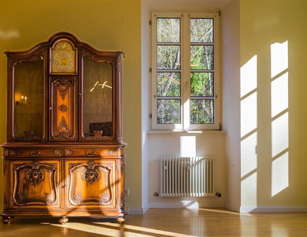 Große, exklusive barrierefreie Schlosswohnung mit modernen Einbauküchen, großem eigenem Garten, mehreren Tageslichtbädern und Park! - Foto 1