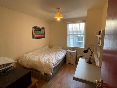 Flat 5-12 Ashley Avenue, Belfast, BT9 7BT - Photo 4