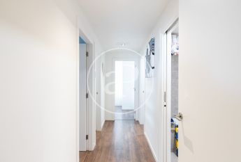 Flat for rent in Canal de Badalona