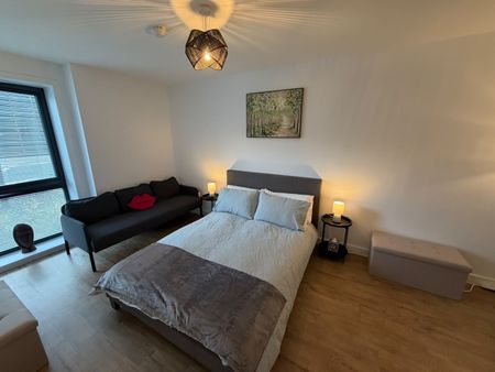 1 Bed Flat, Phoenix, LS9 - Photo 4