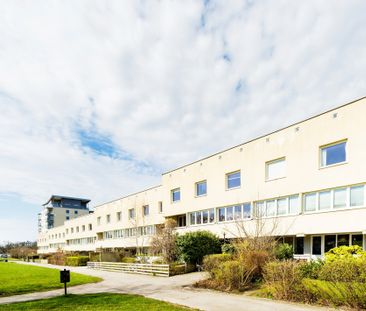 Möllevångsvägen, Lund - Photo 1