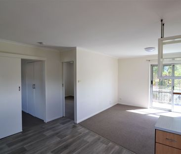 TWO BEDROOM UNIT - Photo 3