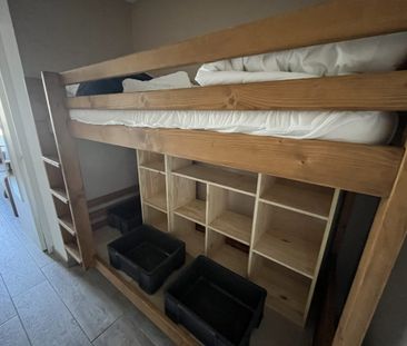 Location Appartement 1 pièce 19m² SAMOENS 74340 - Photo 3