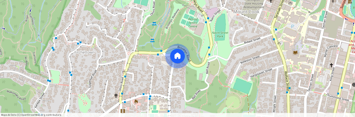 D2/1 Washington Avenue, Brooklyn, Wellington City