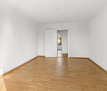 Rent a 3 rooms apartment in Erlenbach - Photo 3