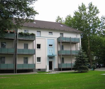 Demnächst frei! 2-Zimmer-Wohnung in Marl Brassert - Photo 1