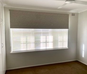 Newly Renovated Home in Prime Position - Photo 4