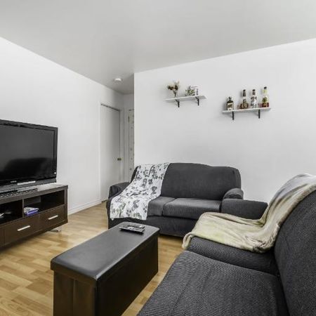 Appartement 4 ½ à louer Lévis juillet 2026 - Photo 3