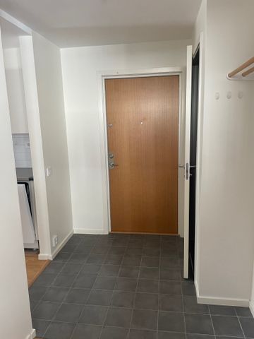 Torstensonsgatan 42 - Photo 5