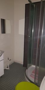 Location Appartement 1 pièce 19m² LILLE 59000 - Photo 3