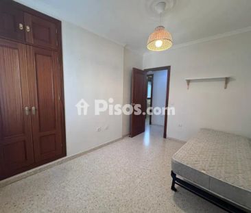 Piso en alquiler en Jerez Oeste - Photo 2