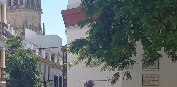 Casa o chalet de alquiler en Casco Histórico - Ribera - San Basilio - Foto 2