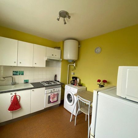 Location Appartement 1 pièce 30m² ROMANS SUR ISERE 26100 - Photo 3