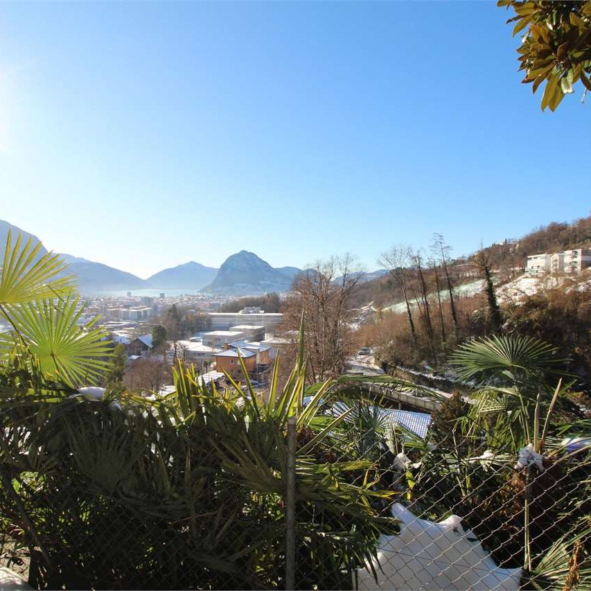 9.5 Zimmer, 446 m² - Photo 1