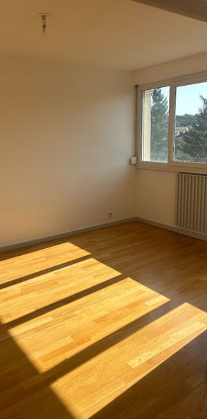 Appartement SAINTE FOY LES LYON 3 Pièces 64.3 m² - Photo 1