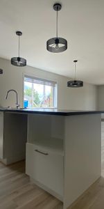 Logement 4 1/2 neuf à louer - 1 mois gratuit - Photo 3