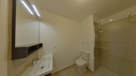 Appartement 1 pièce à Schiltigheim - Photo 4